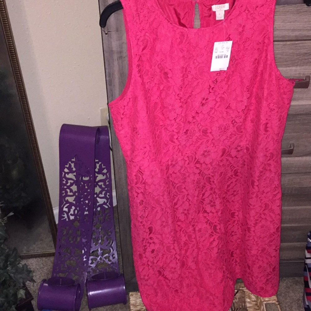 J. Crew Lace Pink Dress-Size 12/Brand New